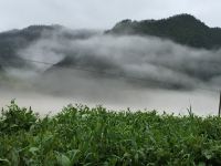 千岛湖常锦庄园 - 酒店景观