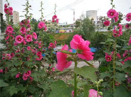 Fuquan Yifeng Business Hotel Отели рядом с достопримечательностью «Fuquan People's Square»