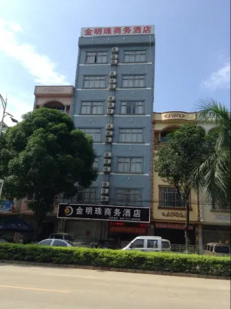 Longzhou Jinmingzhu Business Hotel Отели в г. Лунчжоу