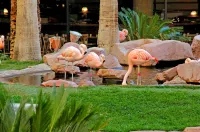Flamingo Las Vegas Hotel & Casino Hoteles en Las Vegas