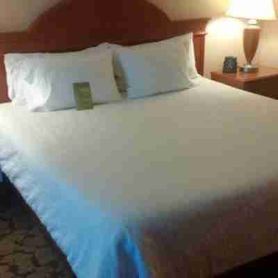 多倫多萬錦希爾頓花園酒店 Rooms