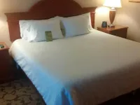 Hilton Garden Inn Toronto/Markham فنادق في ماركهام