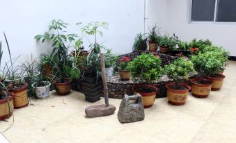 Xianju Danzhu Qingfeng Homestay