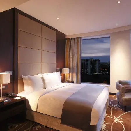 Hilton Jaipur