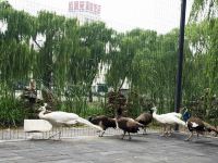 北京通州运河苑温泉度假村 - 酒店附近