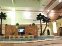 保定德美商务酒店 - 室内游泳池
