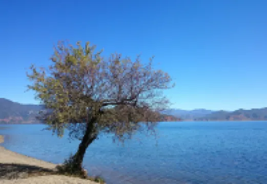 Cuihuwan Hotel (Wuhu Daluoshui Wharf)