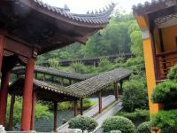 莫干山竹韵山庄 - 酒店附近