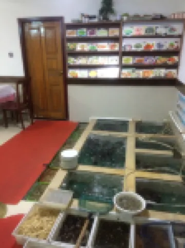 普陀山溫馨小苑旅館