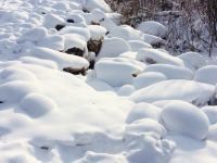 雪谷柳二家庭旅馆