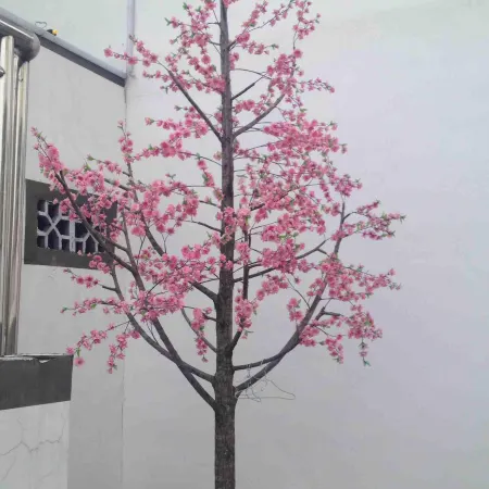 Dehua Xianjuju