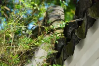 廣州溪西居溫泉民宿