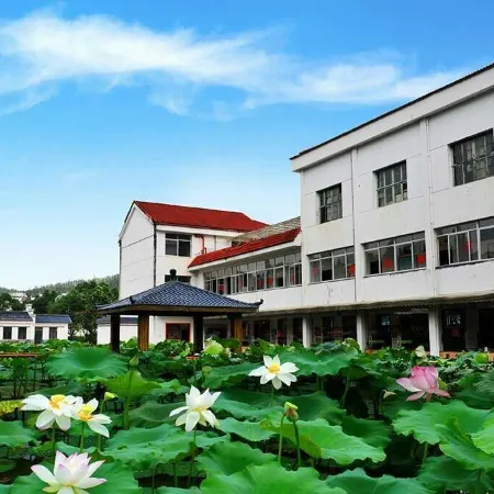 Dajin Lake Yiyang Center Migratory Birds Lvju Yanglao Base