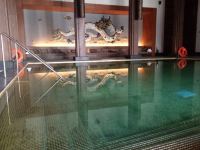 拉萨瑞吉度假酒店 - 室内游泳池