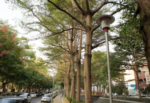 Feng Chia Green Hotel