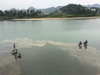 Xianju Runisuoyuan Homestay