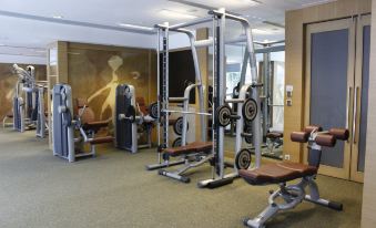 There is a spacious room with multiple exercise equipment, including an indoor weight machine positioned in the center at Royal View Hotel