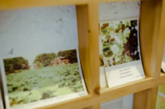 杭州懶墅花園（西湖風景區動物園店）