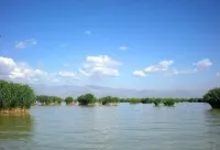 홀리데이 인 핑 로일랜드