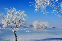 Saihanba Jieshijie Homestay Hotel a Saihanba National Forest Park/Saihanba Mechanical Forest Farm