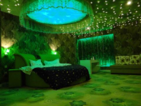 岫岩佳泰温泉宾馆 - 主题房B(无窗)