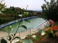 龙川龙飞度假村 - 室外游泳池