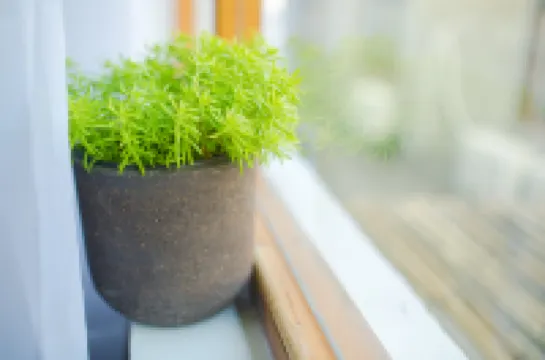 杭州懶墅花園（西湖風景區動物園店）