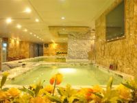 神木铂金汉宫国际酒店 - 室内游泳池