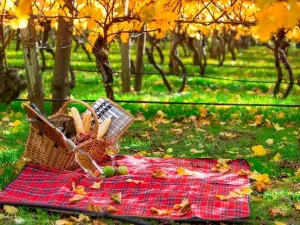 랜스모어 린든데리 레드 힐