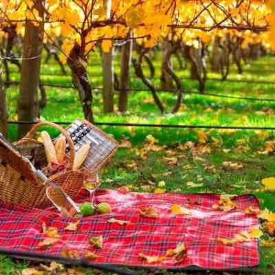 Lancemore Lindenderry Red Hill Hotel Exterior