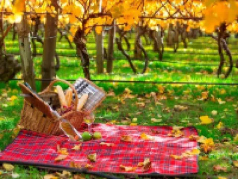 Lancemore Lindenderry Red Hill Hotels in Dromana