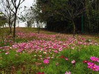 佛冈鹤鸣洲樱花温泉度假村 - 其他