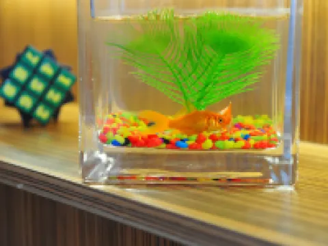 Shenhua Hotel Hotel di Yinchuan