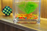 Shenhua Hotel Hotels in Yinchuan