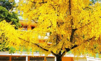 Wang Xing Hotel