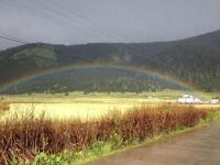 林芝平措大叔家庭旅馆 - 公共区域