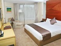 北京中建紫竹酒店 - 标准间大床房