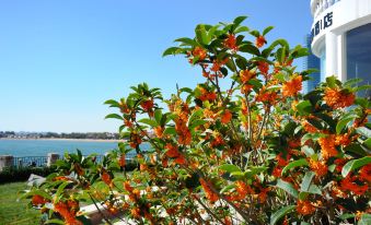 Villa-Inn(May Fourth Square)