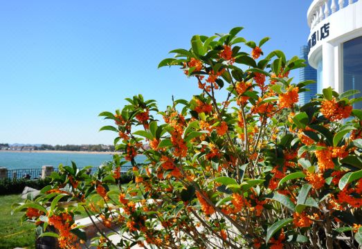 빌라 인 No.21 씨사이드