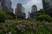 Ruize Hotel (Chongqing Jiefangbei Pedestrian Street)