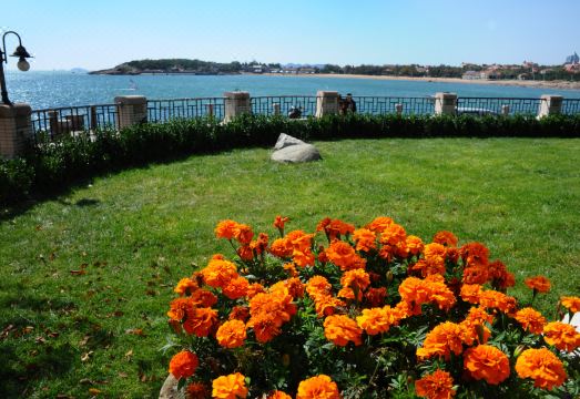 빌라 인 No.21 씨사이드 객실