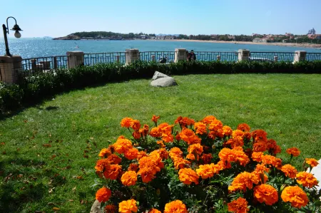 Villa-Inn（May Fourth Square）