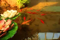 Dengfenglai Youth Hostel (Lanzhou West Railway Station)