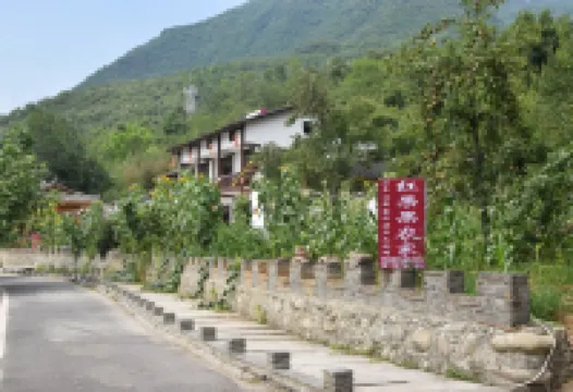 青川紅果果農家樂