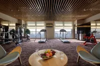 石家莊諾華廷酒店（萬象城灣裏廟步行街店） - 健身室/gym room