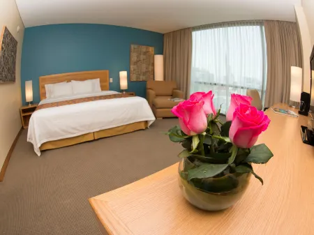 Holiday Inn Express Mexico Reforma
