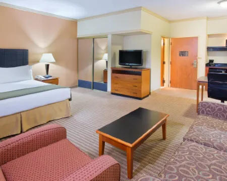 Holiday Inn Express & Suites IRVING DFW AIRPORT NORTH by IHG Hotels in Irving
