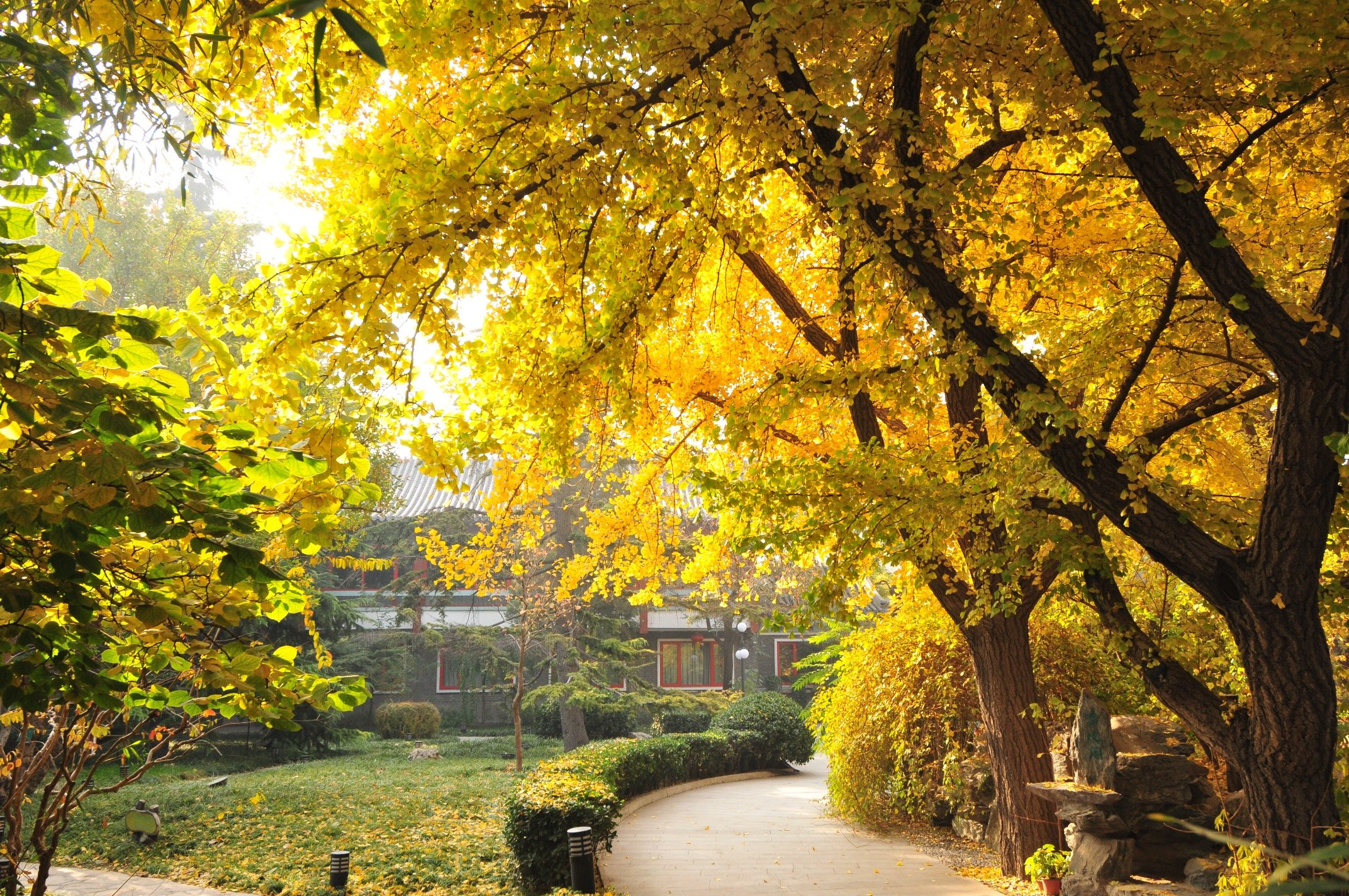 Beijing Jintai Hotel Bamboo Garden Branch Over view
