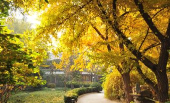 Beijing Jintai Hotel Bamboo Garden Branch
