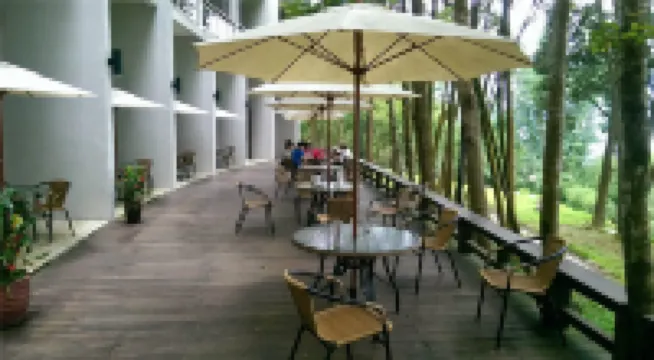 南投日月潭竹石園生態渡假會館